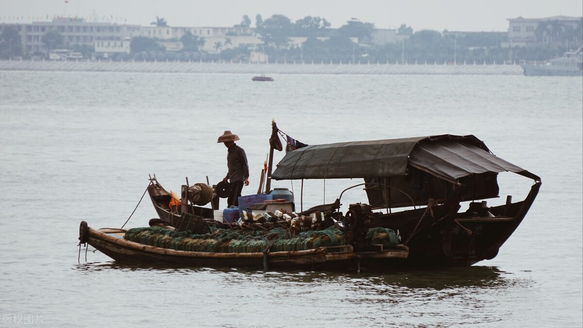 眩晕耳鸣、总迷糊？当心痰浊上头！讲一张方子，温阳化痰、止眩晕
