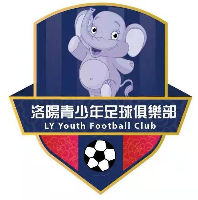 洛阳籍球员王皓,足球教练王皓简历