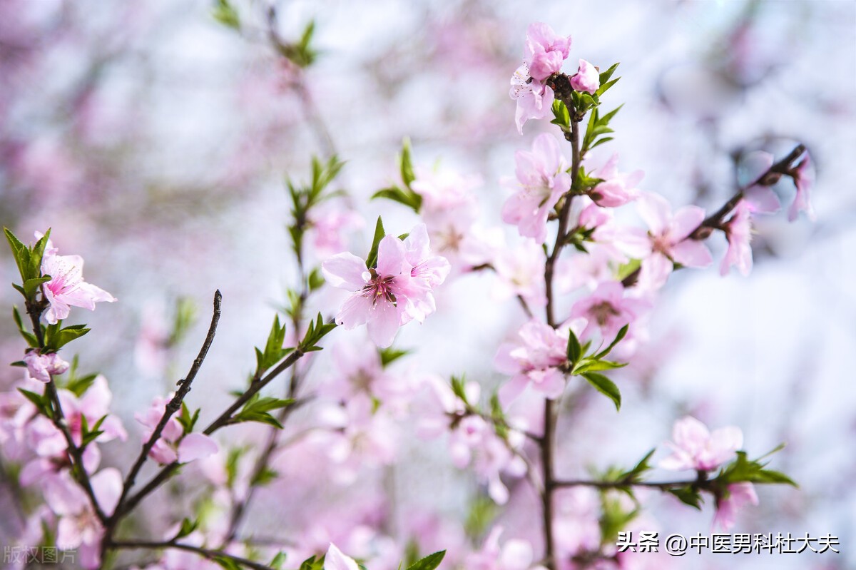 肾气不足骨痿是什么症状,脾虚阳痿怎么治