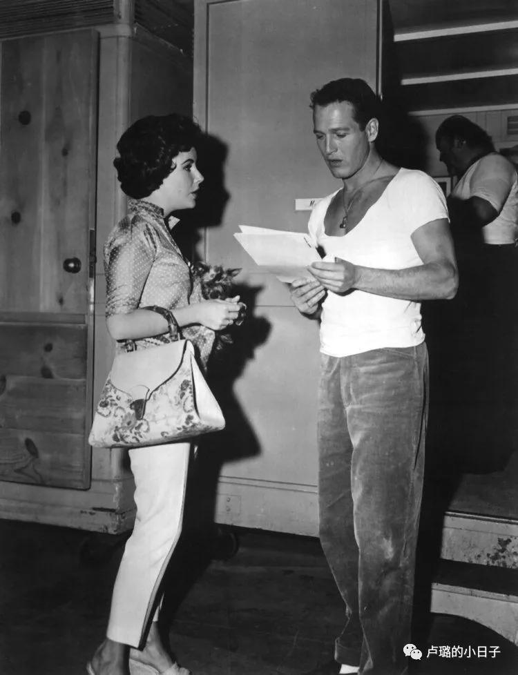 gucci的豪门恩怨史,gucci背后的豪门血案