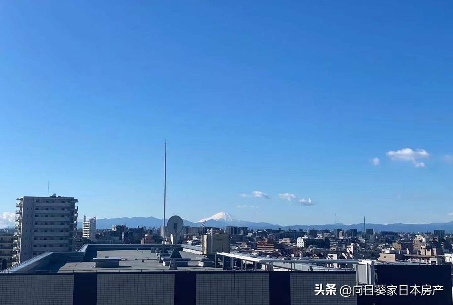 在日本离婚了签证怎么办,签证期间离婚需要什么手续