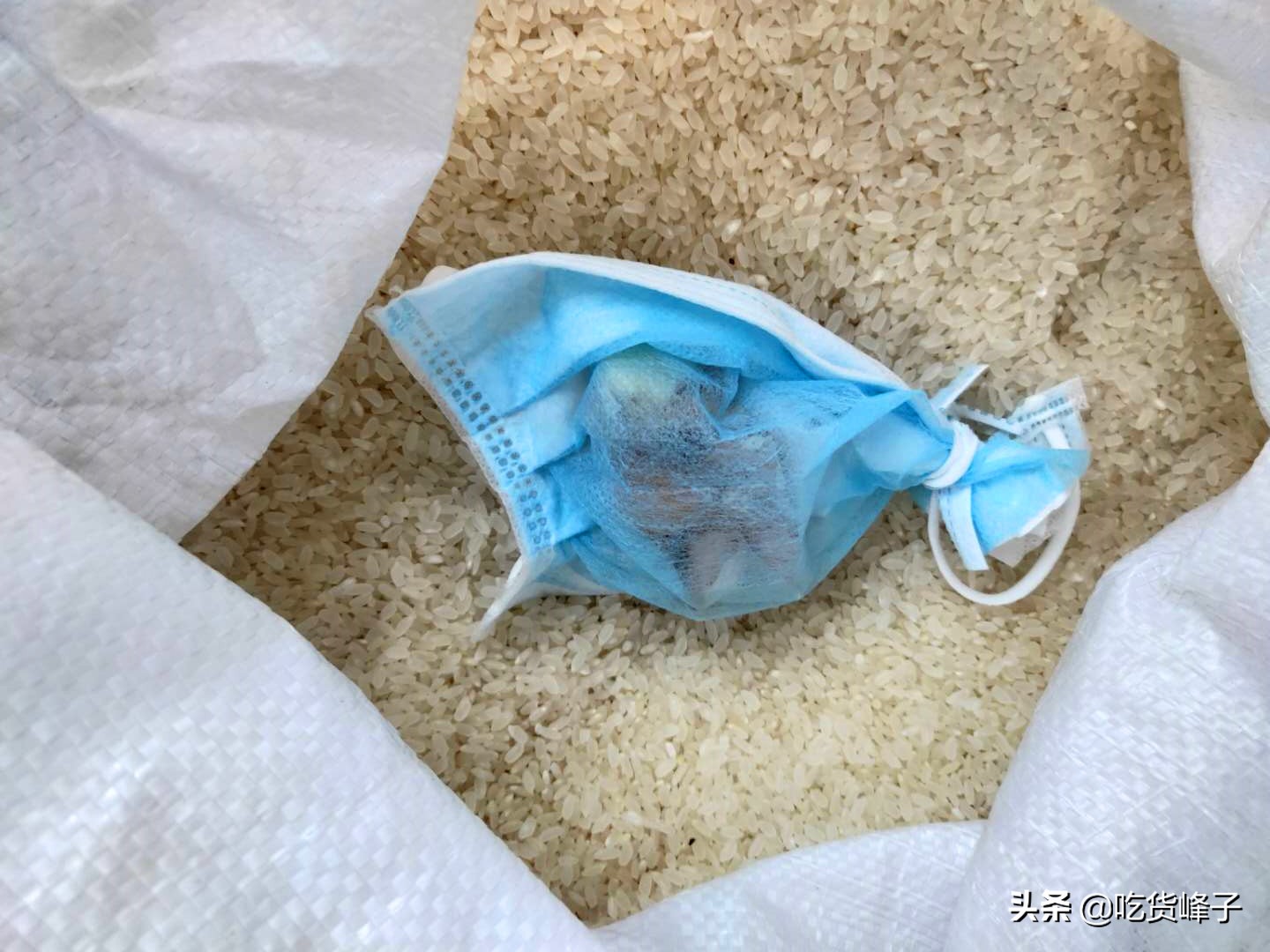 大米生虫了怎么办还能吃吗,大米为啥会出虫子