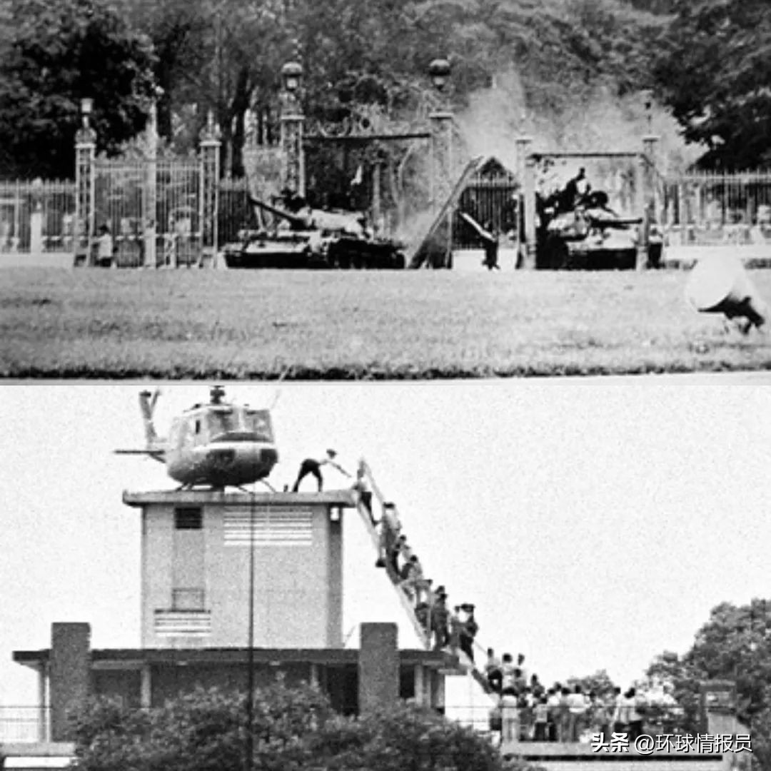 猫为什么没有入选十二生肖,越南为什么把兔年叫猫年