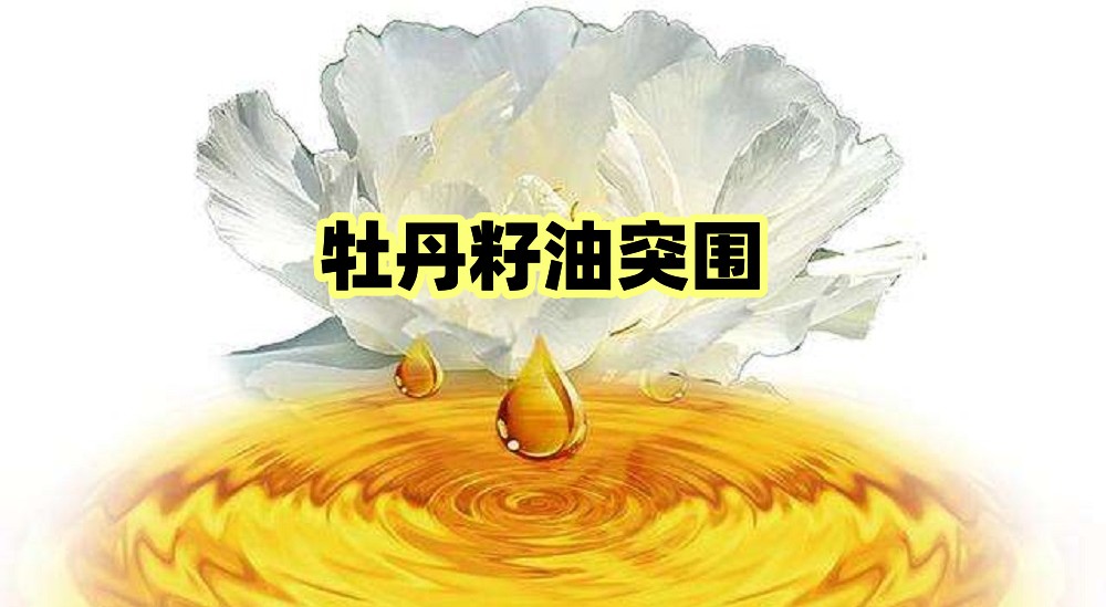 高档食用油营销策划书,食用油营销策略案例