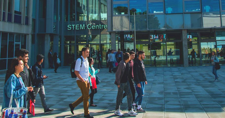 埃塞克斯大学英国,埃塞克斯大学研究型