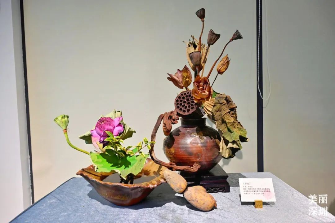 深圳人游玩推荐,深圳人爬山看海