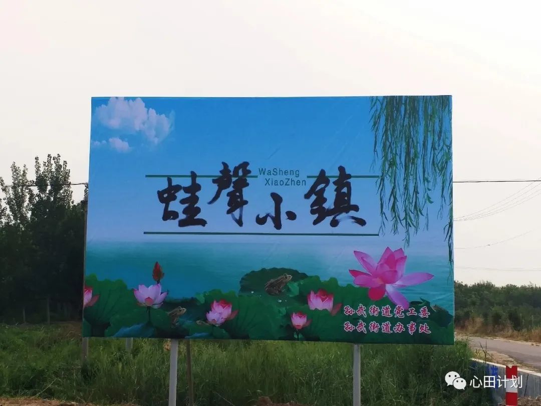 山东滨州“蛙声小镇”创始人闫洪明：用科技升维有机农业