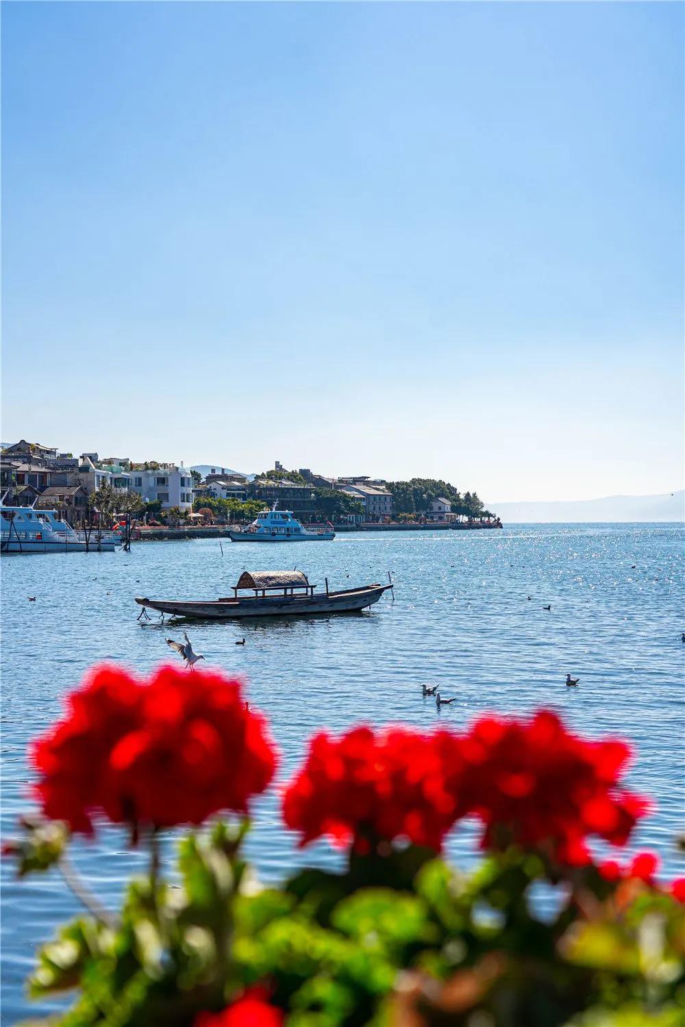 带你去双廊,住在浪漫的双廊洱海边看风景