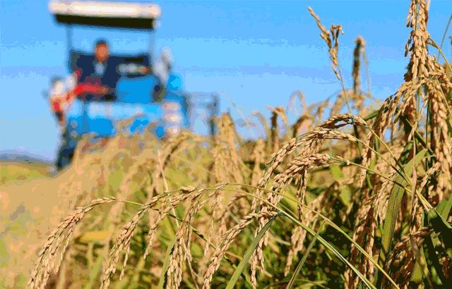 长春解封须知,长春解封条件是什么