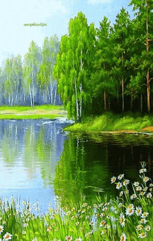 美女屏保动态壁纸高清唯美,50张顶级绝美图片动态壁纸