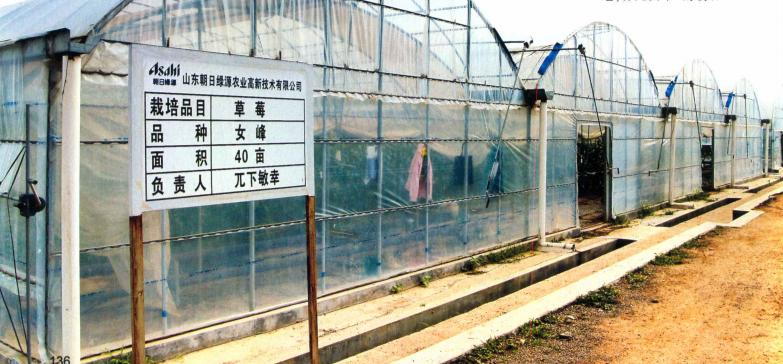 2006年日本企业投资15亿，租下山东1500亩良田，闲置5年杂草丛生