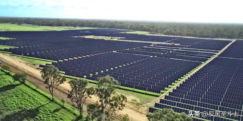 特斯拉跟比亚迪最新消息,特斯拉与比亚迪最新消息