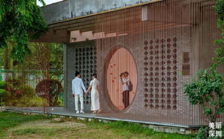 深圳公园的故事｜先锋实践，甜蜜家园——香蜜公园