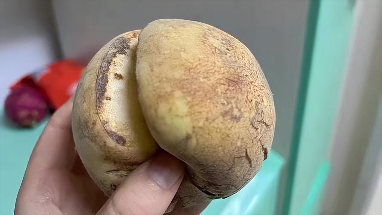 爆炸桃价格,爆炸桃为什么这么贵