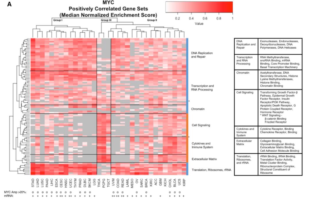 图形解读系列|给你5个示例，你能看懂常用热图使用吗？