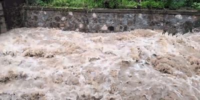 到底住几楼以上夏天才没蚊子,住多少楼层会没有蚊子