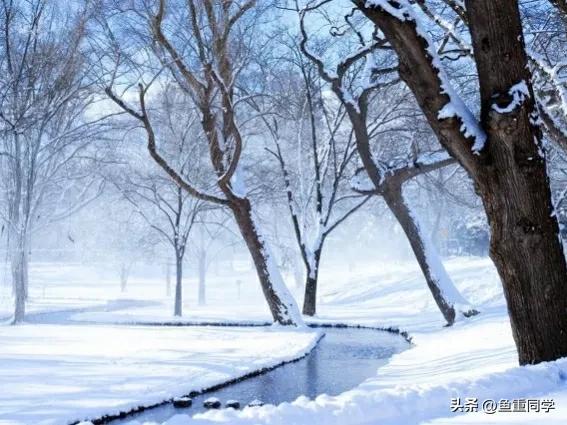 关于十月十五的谚语,农历十月谚语你知道多少呢