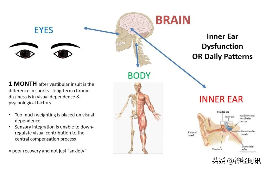 眩晕症梅尼埃治疗方法,眩晕症梅尼埃病是怎样引起