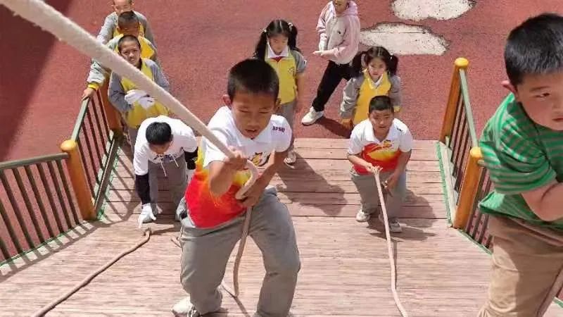 小学生寒假综合实践活动简报,北郊中心小学五年级综合实践活动