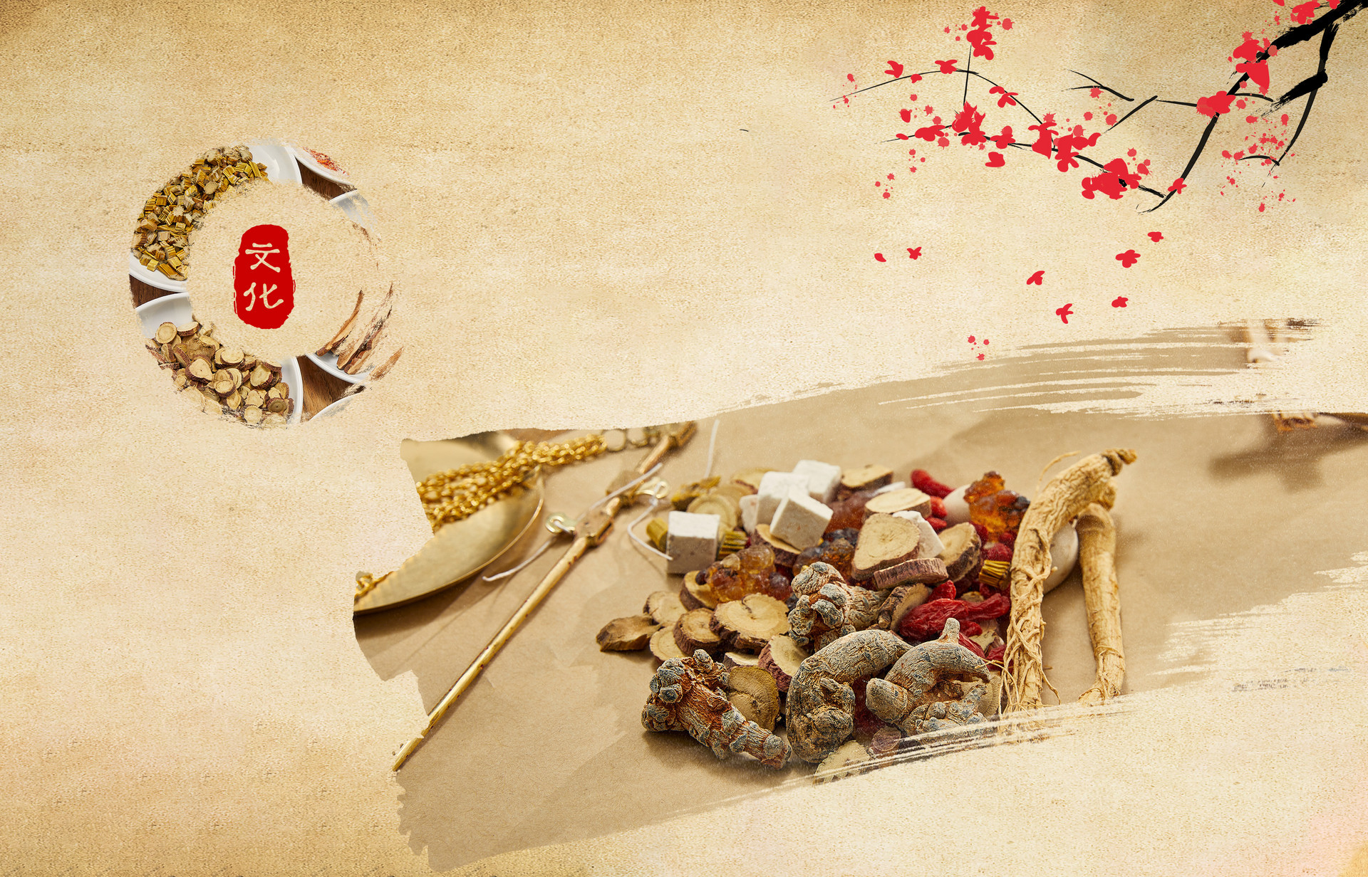 中西医结合跨考西医学硕考什么,中医可以跨专业考西医研究生吗