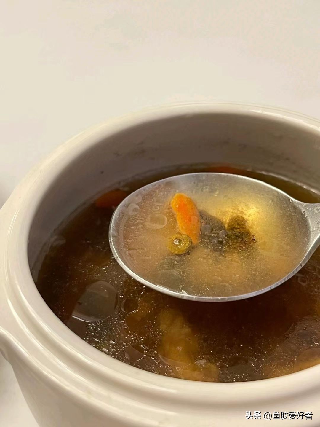 科普鱼胶赤嘴种类大全,关于鱼胶的知识讲座视频