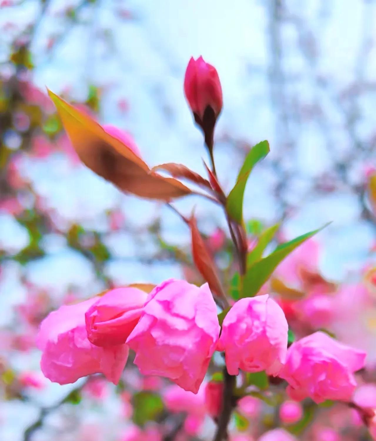 话说二十四节气书籍,话说二十四节气