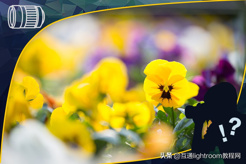 300mm还是500mm长焦镜头,入门级70-300长焦镜头推荐