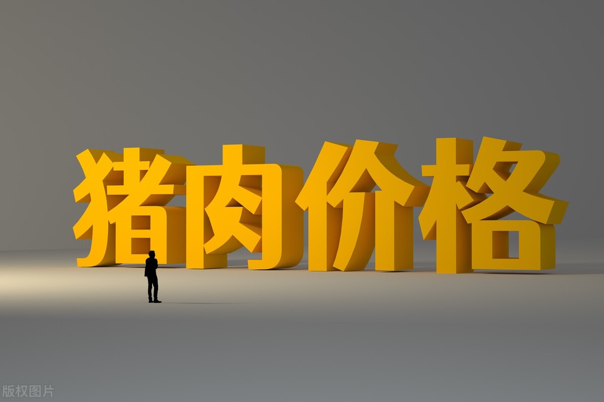 2021年12月19号全国猪价涨跌表,生猪价格走势今天全国猪价一览表