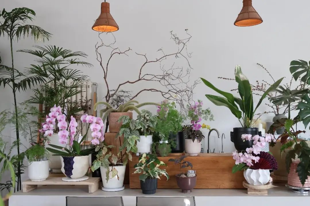 佳能eosr50怎么样拍照,佳能eosr50怎么样