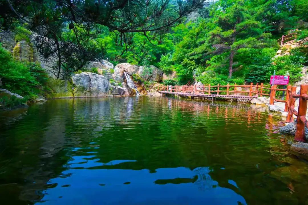 莱芜高庄旅游,莱芜高庄一日游玩攻略