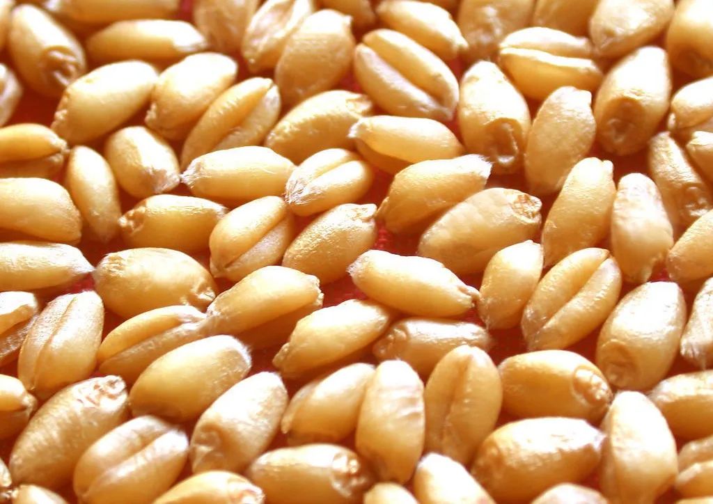 五谷杂粮食物图片大全大图,五谷杂粮图片大全大图真实