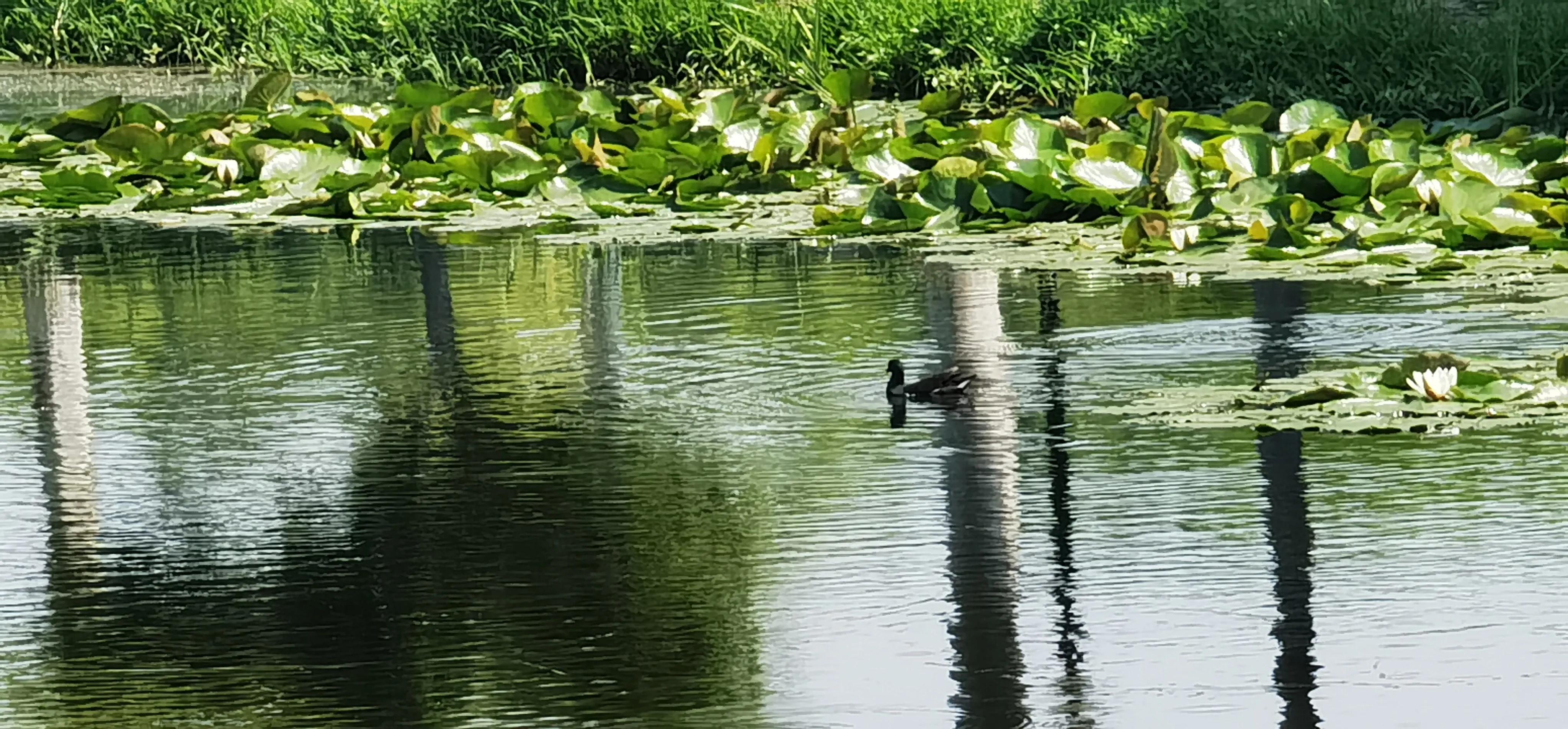 合肥晚上带娃好去处,合肥附近带两个娃去哪里玩