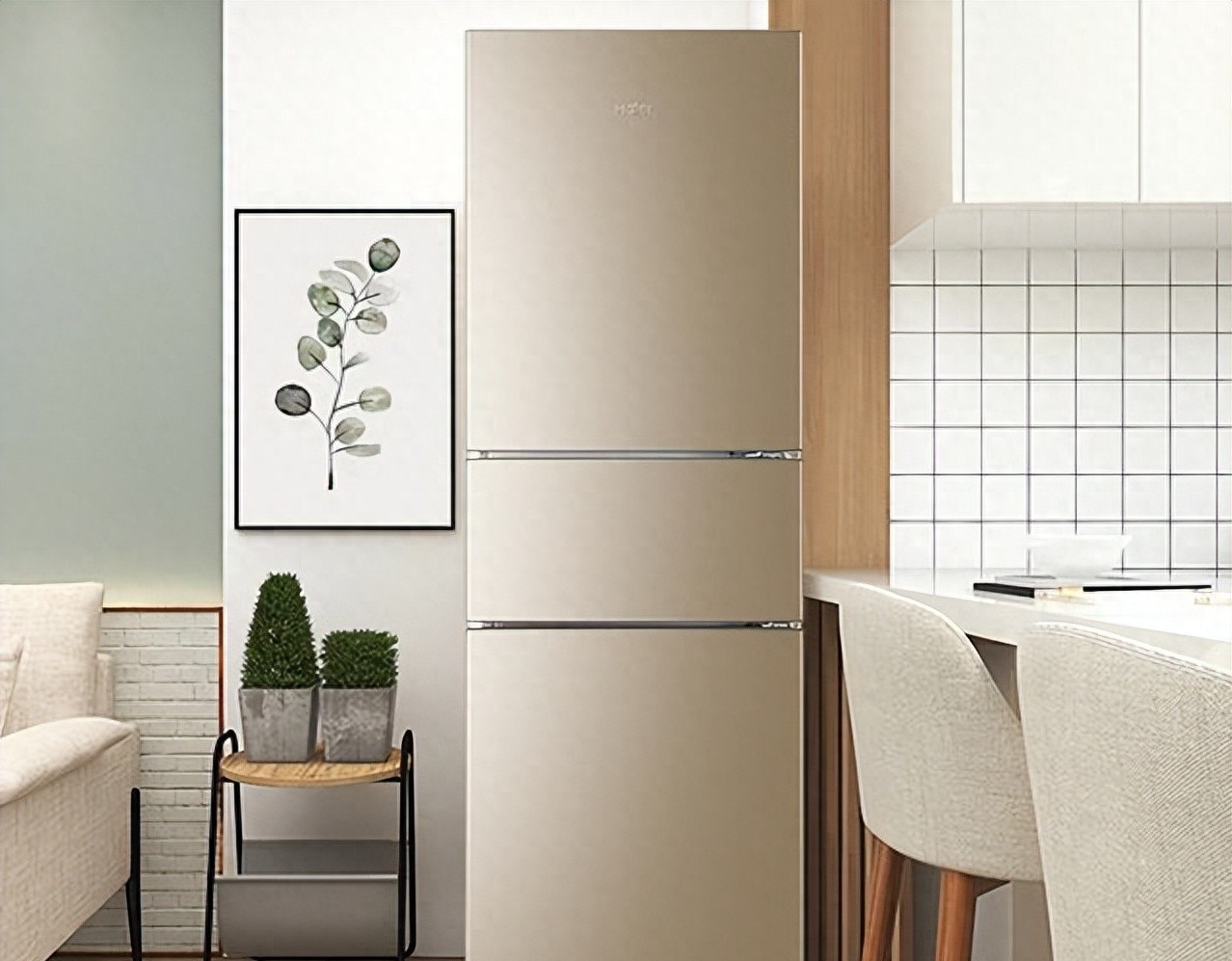 海尔官方旗舰店和海尔冰箱旗舰店,海尔冰箱哪样的好实用