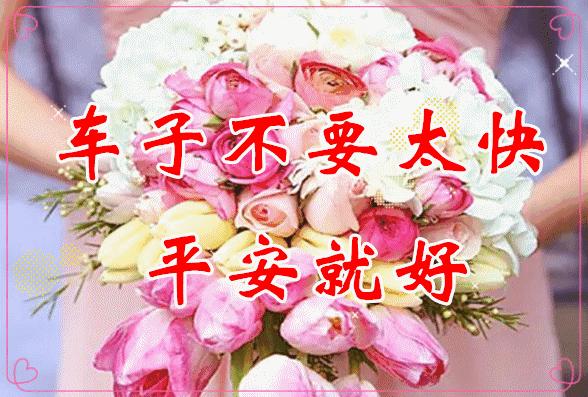 微信最美早晨问候祝福图片带字,早上好最漂亮微信表情祝福图片