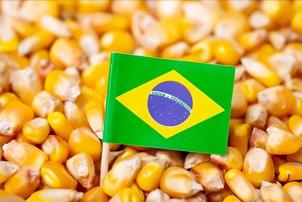 反制美国关税最新消息,反制美国限制技术出口