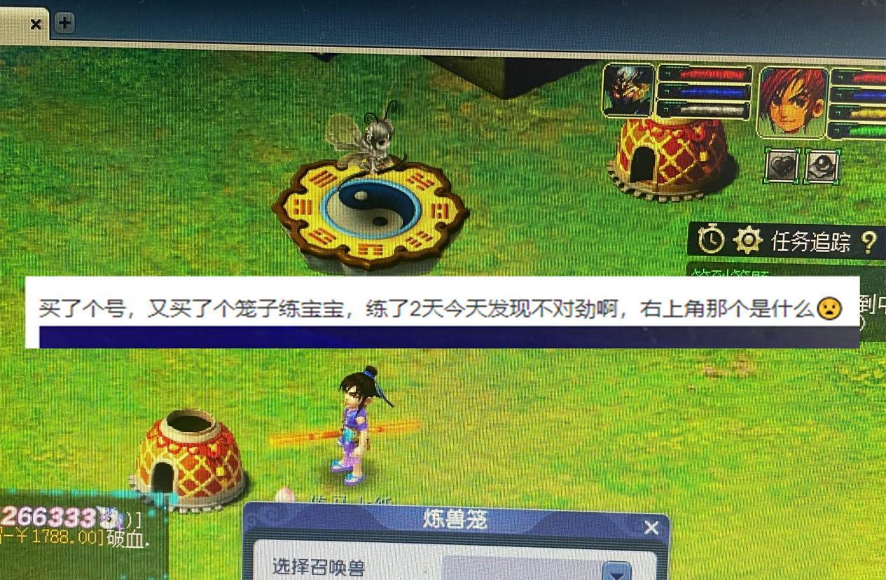 梦幻西游紫禁之巅金价,梦幻西游紫禁之巅冠军套