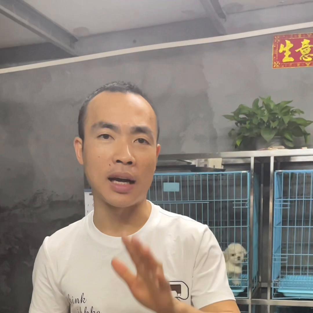 在网上买狗被骗的都有哪些,网上买狗怎样才知道没被骗