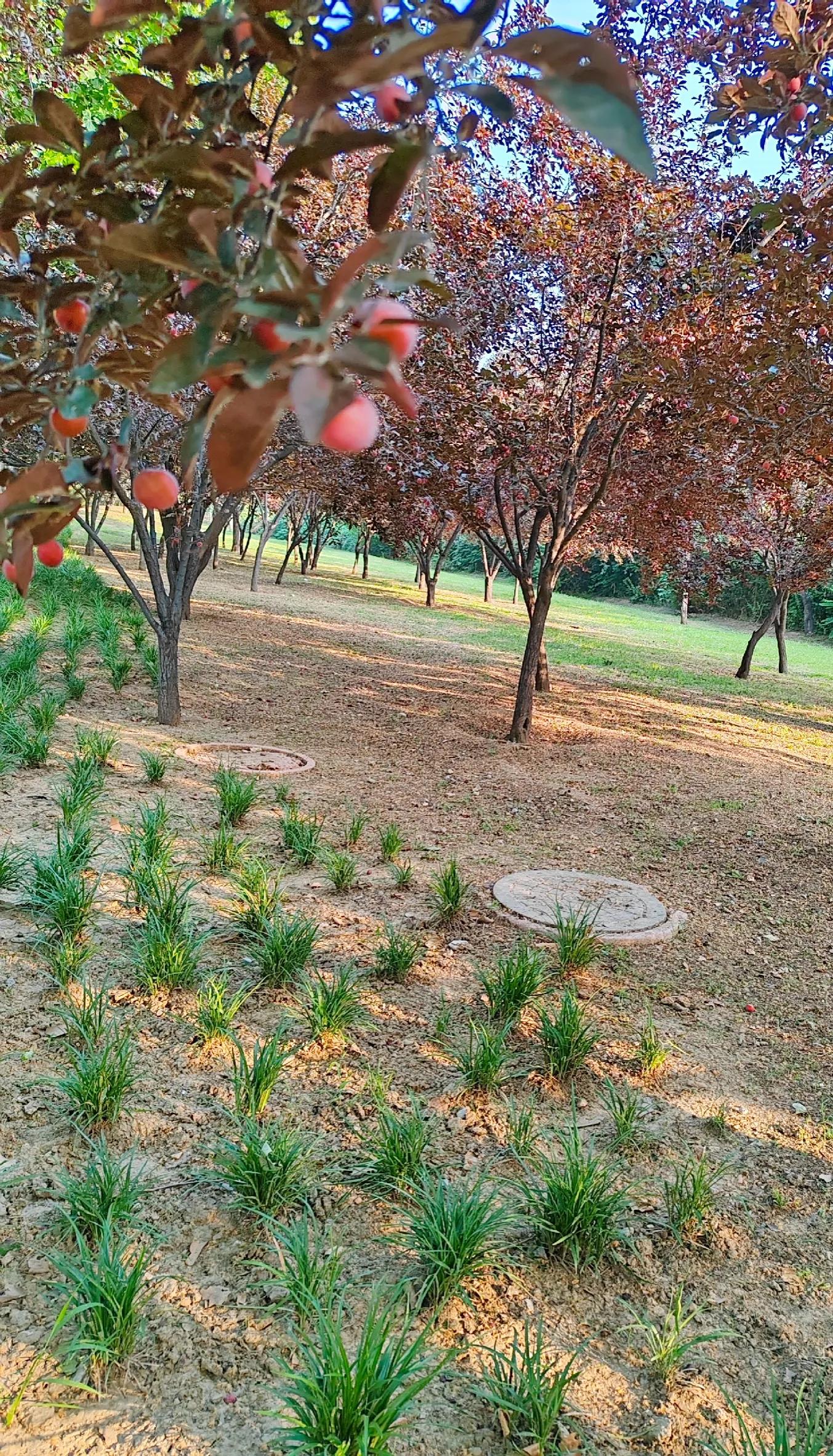 生日快乐图片,生日快乐专用视频