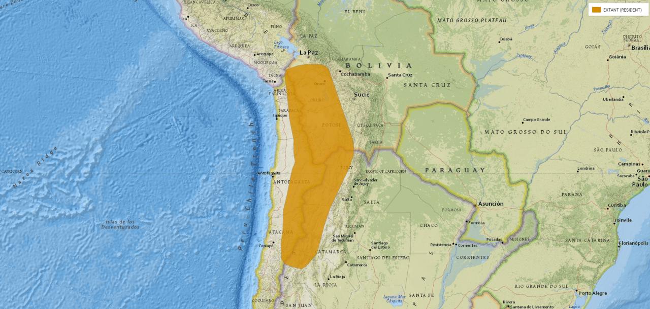 什么宠物对纯素食者最好,好养且可以食用的宠物有哪些