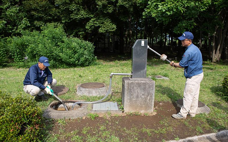 日本城市为什么那么干净,日本东京公园现状