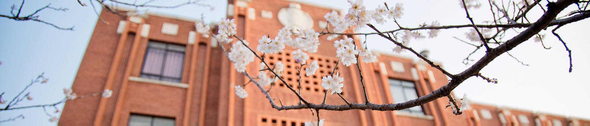 报考汉语言文学专业的理由,幸福感高的专业
