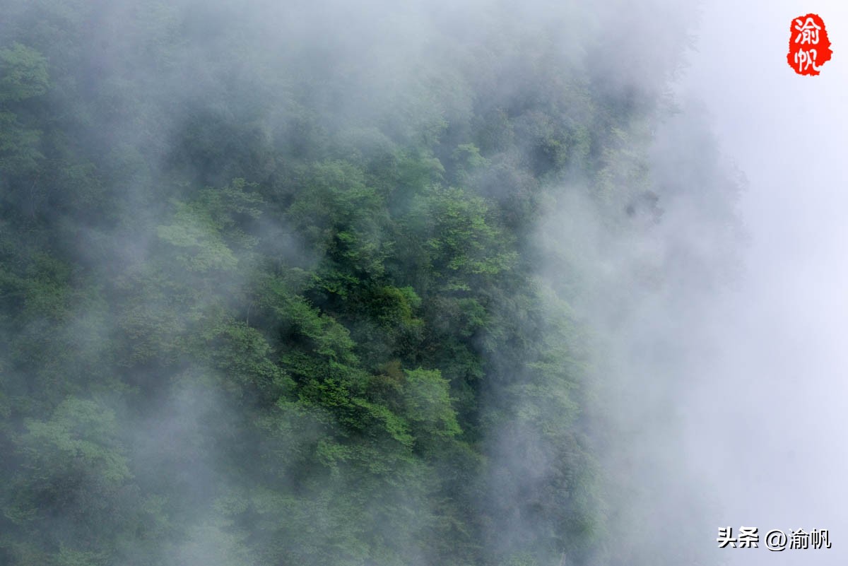 重庆的热门风景好的山,重庆哪座山最适合看城区风景