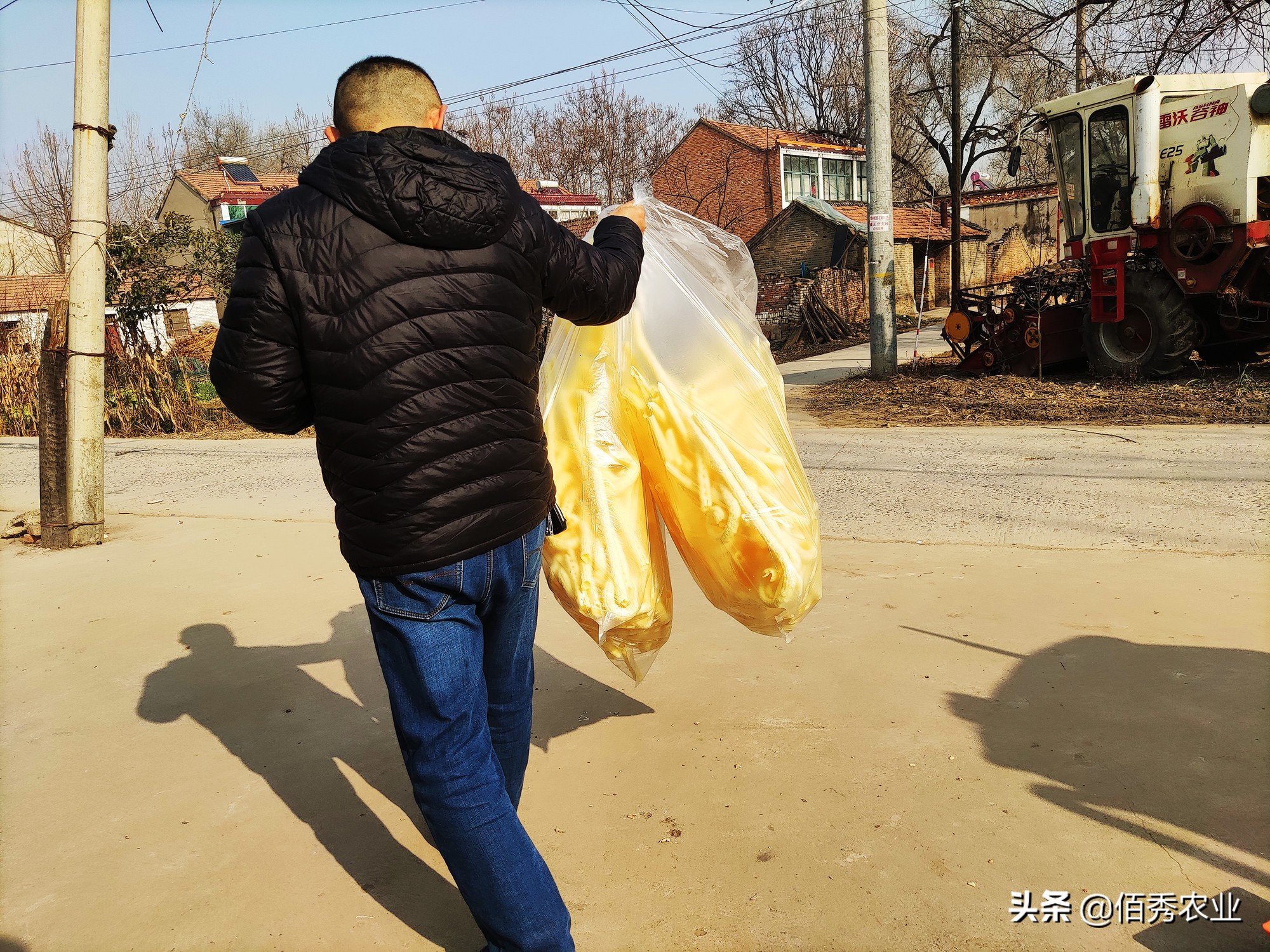 天冷了农村做什么生意赚钱,农民生意做什么赚钱