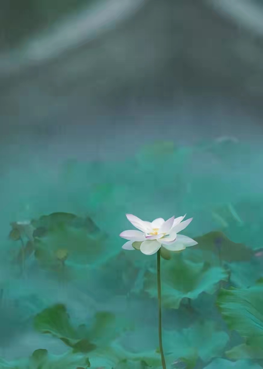 天津大悲院最新消息,天津大悲院原貌