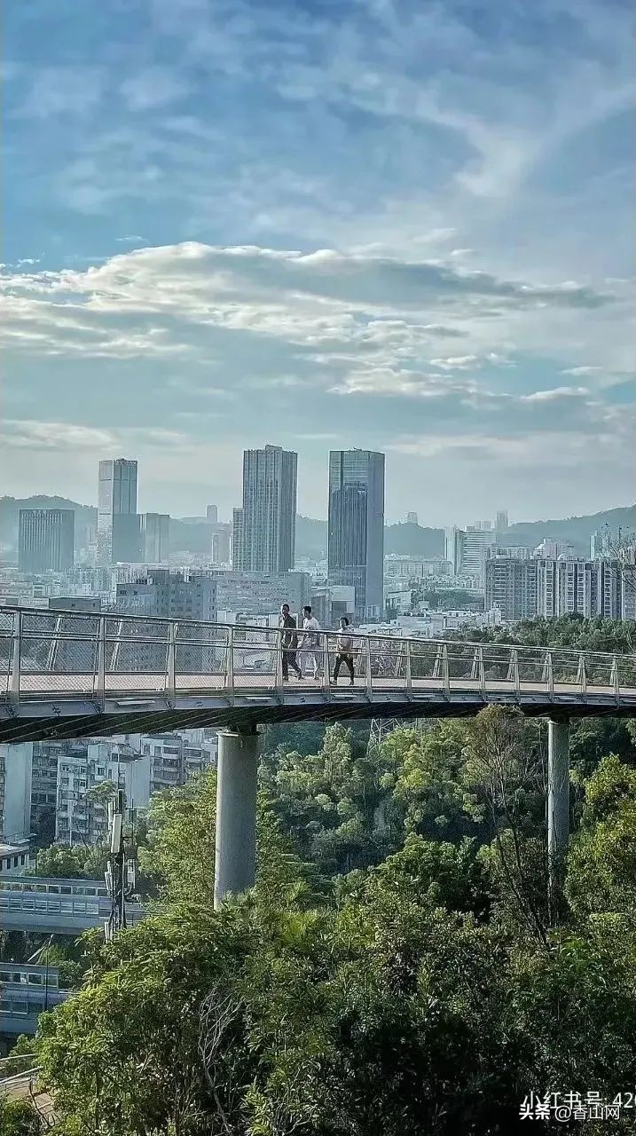 珠海香山湖公园云山栈道一游,珠海香山云道风景太美了