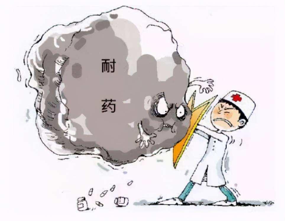 头孢和阿莫西林是一个性质吗,头孢和阿莫西林有啥区别和不同