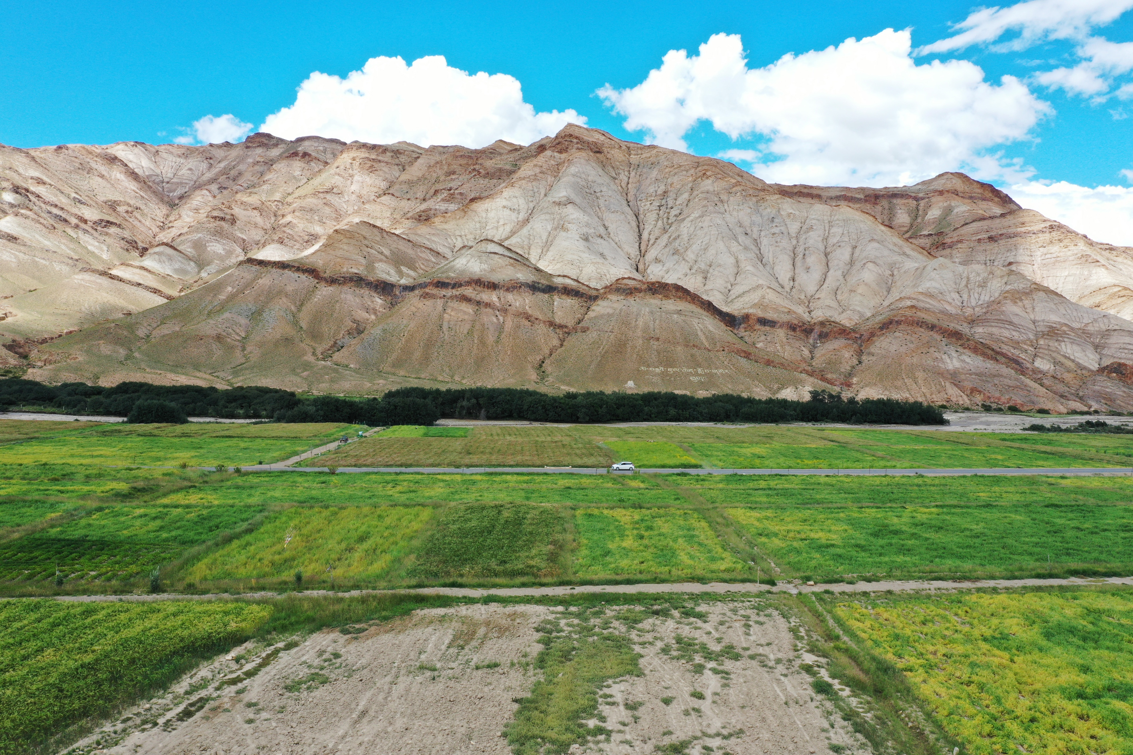 云南最高海拔的茶叶,海拔最高的茶叶产地在哪里