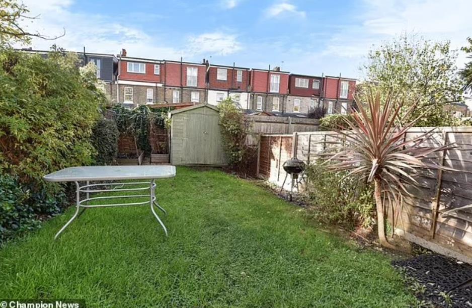 新买的房子花园里发现了日本虎杖，他成功起诉卖家，赔偿12万英镑