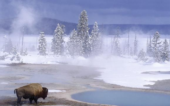 国外的旅游电子商务发展,国外旅游电子商务本土化的探讨