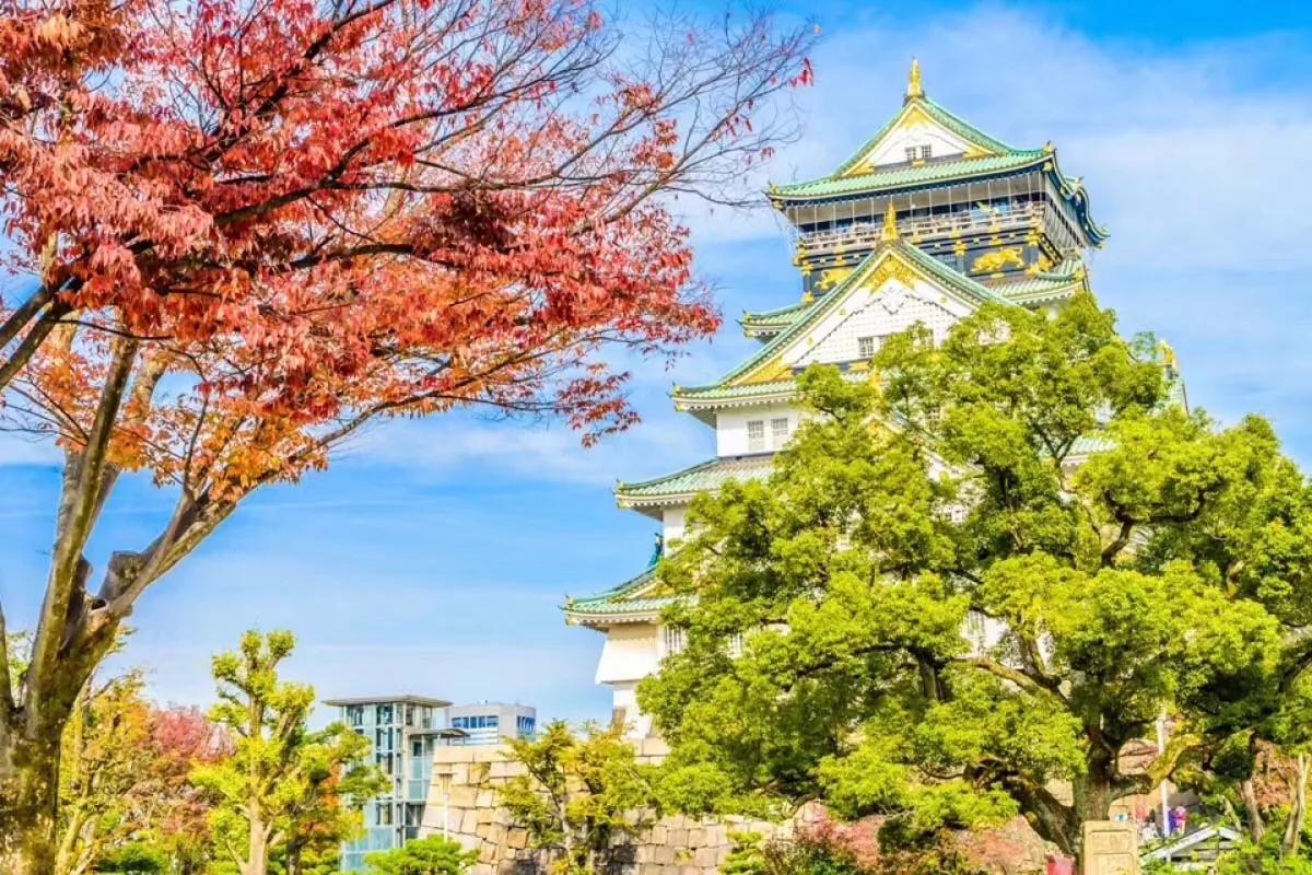 夏天大阪有什么好玩的景点吗,日本大阪旅游景点大全排名榜